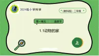 小学科学教科版(2024)二年级上册(2024)动物的家授课课件ppt