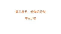 大象版（2024）三年级上册动物的分类示范课课件ppt