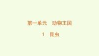 青岛版（六三制）(2024)三年级上册（2024）1 昆虫图片课件ppt