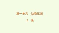 小学科学青岛版（六三制）(2024)三年级上册（2024）2 鱼示范课ppt课件