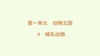 小学科学青岛版（六三制）(2024)三年级上册（2024）4 哺乳动物图片课件ppt