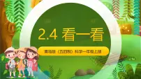 小学科学青岛版(五四学制)(2024)一年级上册(2024)看一看优质ppt课件