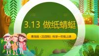 小学科学青岛版（五四学制）（2024）一年级上册（2024）做纸蜻蜓优秀课件ppt