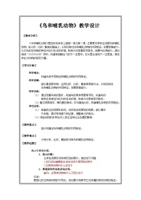 小学科学人教鄂教版（2024）四年级上册鸟和哺乳动物教案设计