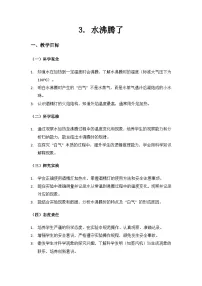 小学3.水沸腾了教案设计