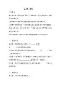 小学科学苏教版（2024）四年级上册点亮小灯泡同步练习题