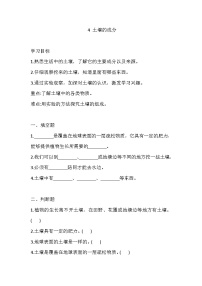 小学科学苏教版（2024）三年级上册土壤的成分同步训练题