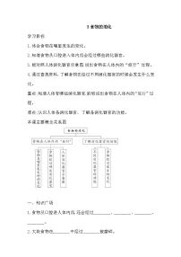 人教鄂教版（2024）三年级上册食物的消化随堂练习题