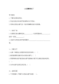 小学科学教科版（2024）三年级上册水到哪里去了练习题