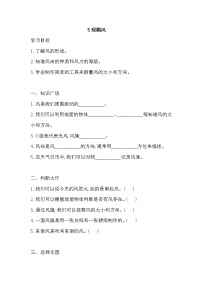 科学三年级上册观测风同步测试题