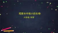 教科版（2024）六年级上册观察水中微小的生物课文配套课件ppt