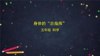 科学教科版（2024）身体的“总指挥”教学ppt课件