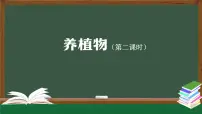 人教鄂教版（2024）二年级上册养植物课前预习课件ppt