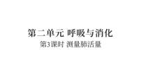 小学科学教科版（2024）四年级上册测量肺活量复习课件ppt