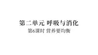 教科版（2024）营养要均衡复习课件ppt