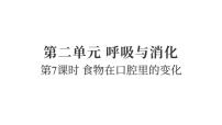 教科版（2024）食物在口腔里的变化复习ppt课件