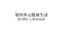 教科版（2024）五年级上册心脏和血液复习ppt课件