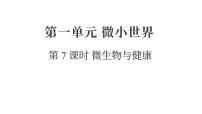 教科版（2024）六年级上册微生物与健康复习课件ppt