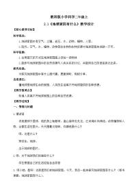 科学二年级上册（2024）地球家园有什么公开课教学设计及反思