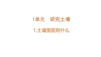 小学科学苏教版（2024）三年级上册（2024）1 土壤里面有什么多媒体教学ppt课件