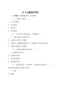 小学科学粤教粤科版（2024）六年级上册大脑的作用课时作业