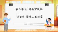 苏教版（2024）一年级上册（2024）借助工具观察课文内容课件ppt