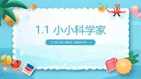 苏教版（2024）一年级上册（2024）小小科学家公开课课件ppt