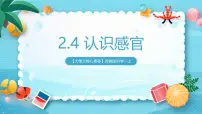 科学一年级上册（2024）认识感官完整版课件ppt