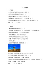 教科版（2024）五年级上册风的作用课堂检测