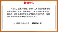 小学科学苏教版（2024）三年级上册（2024）4 植被与土壤一等奖作业课件ppt