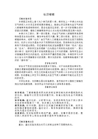 小学科学教科版（2024）五年级上册认识棱镜教学设计