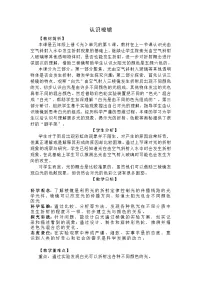 小学科学教科版（2024）五年级上册认识棱镜教学设计