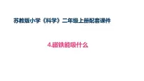 小学科学苏教版(2024)二年级上册(2024)2 单元 玩磁铁4 磁铁能吸什么教案配套ppt课件