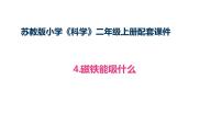 小学科学苏教版(2024)二年级上册(2024)2 单元 玩磁铁4 磁铁能吸什么教案配套ppt课件