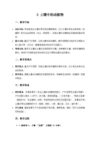 科学二年级上册（2024）3.  土壤中的动植物教案及反思