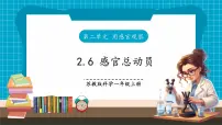 小学科学苏教版（2024）一年级上册（2024）感官总动员获奖课件ppt