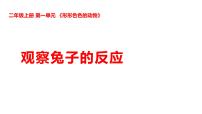 小学科学湘科版（2024）二年级上册（2024）2 观察兔子的反应课文ppt课件