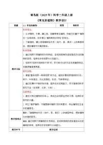 小学科学青岛版（五四学制）（2024）二年级上册（2024）1 常见的植物教学设计