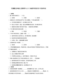 科学大象版（2024）地壳中的岩石优秀一课一练