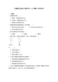 大象版（2024）五年级上册滑轮精品课时作业
