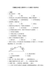 小学科学大象版（2024）五年级上册斜面优秀当堂检测题
