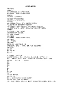 科学三年级上册（2024）第一单元  气体、液体和固体4  观察物体的体积教案设计