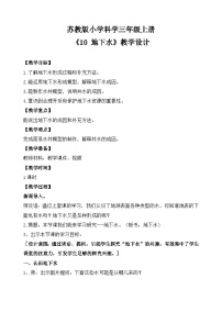 科学三年级上册（2024）10 地下水教学设计