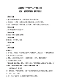 科学苏教版（2024）像工程师那样教学设计