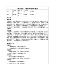 小学科学教科版（2024）六年级上册微生物与健康教案