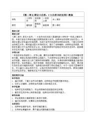 科学湘科版（2024）大自然中的发现教案