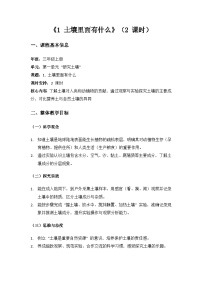 小学科学苏教版（2024）三年级上册（2024）1 土壤里面有什么教案
