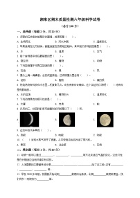 江西省萍乡市湘东区湘科版六年级上册期末考试科学试卷（含答案解析）