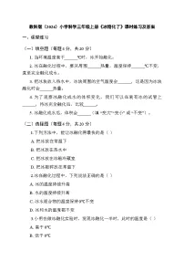 科学5.冰熔化了课时训练