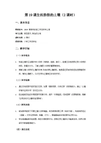 小学科学粤教粤科版（2024）三年级上册（2024）第19课 生机勃勃的土壤精品教案